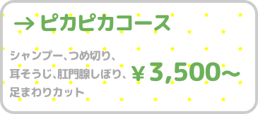 �s�J�s�J�R�[�X - �V�����v�[�A�ܐ؂�A���|���A���B���ڂ�A���܂��J�b�g