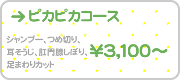 �s�J�s�J�R�[�X - �V�����v�[�A�ܐ؂�A���|���A���B���ڂ�A���܂��J�b�g