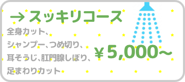 �X�b�L���R�[�X - �J�b�g�A�V�����v�[�A�ܐ؂�A���|���A���B���ڂ�A���܂��J�b�g