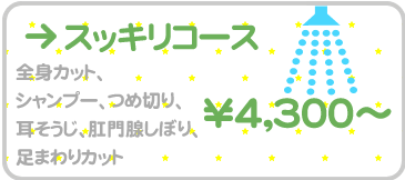 �X�b�L���R�[�X - �J�b�g�A�V�����v�[�A�ܐ؂�A���|���A���B���ڂ�A���܂��J�b�g