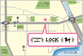 �A�N�Z�X�}�b�v