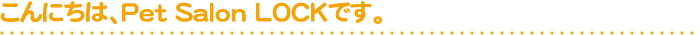 ����ɂ��́APet Salon LOCK�ł��B